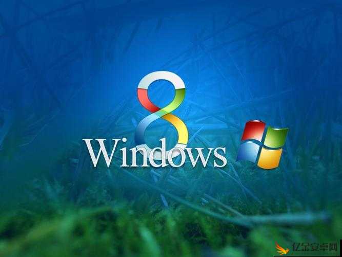 中国高清 windows 视频软件：高清画质，畅享视觉盛宴