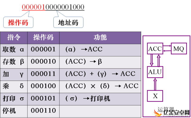 W 无区码一码二码三码：深度解析其内在逻辑与应用场景